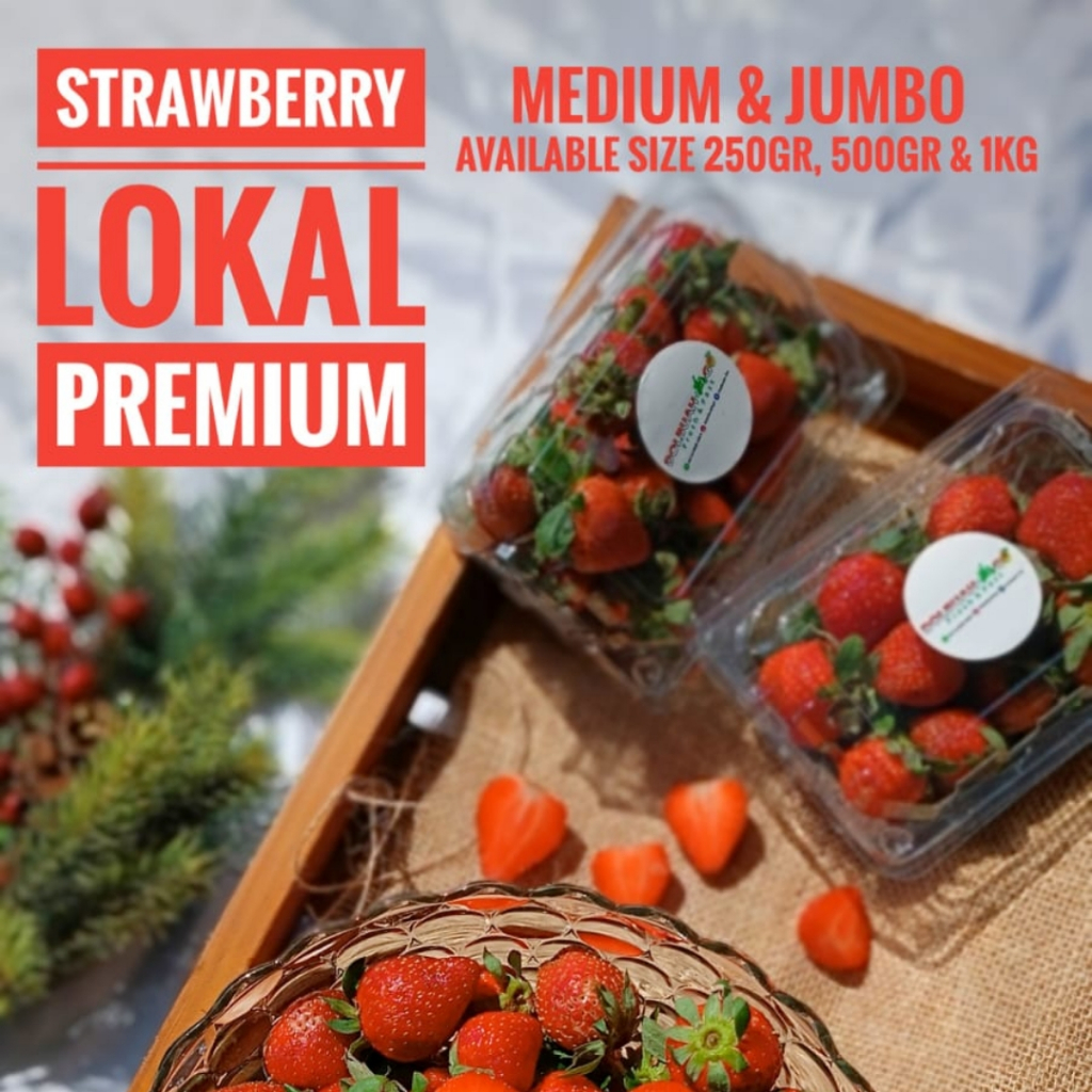 

Strawberry Lokal Premium Jumbo Medium 1kg - INSTAN SEMARANG - Dolbuah