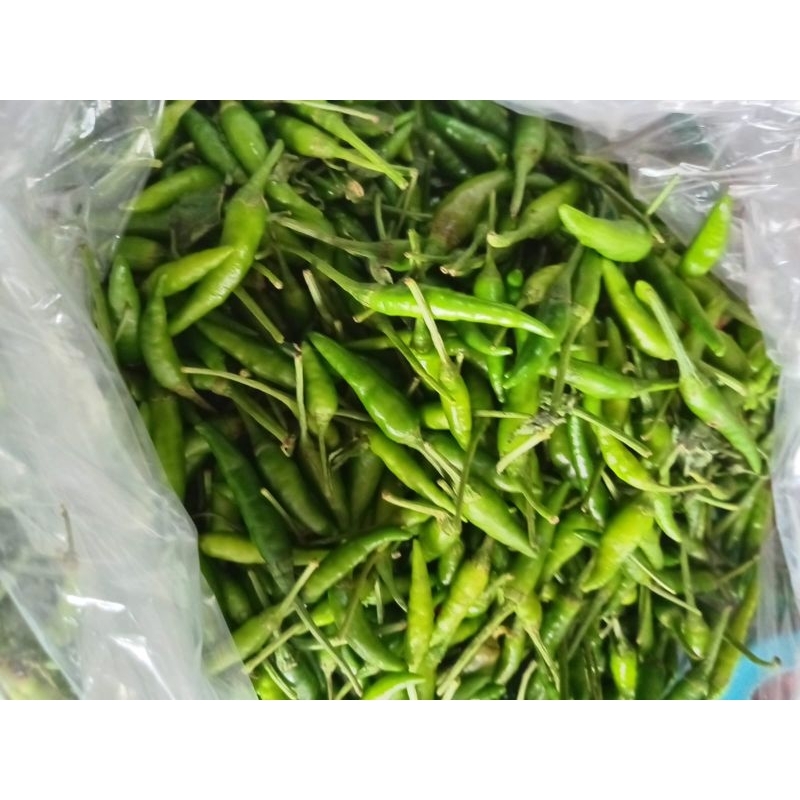 

Cabe Rawit Ijo