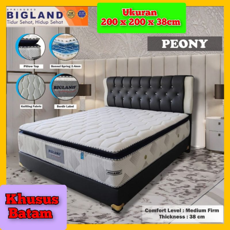 Kasur Spring Bed Saja Ukuran 200x200x38cm Bigland Peony(Khusus Batam)