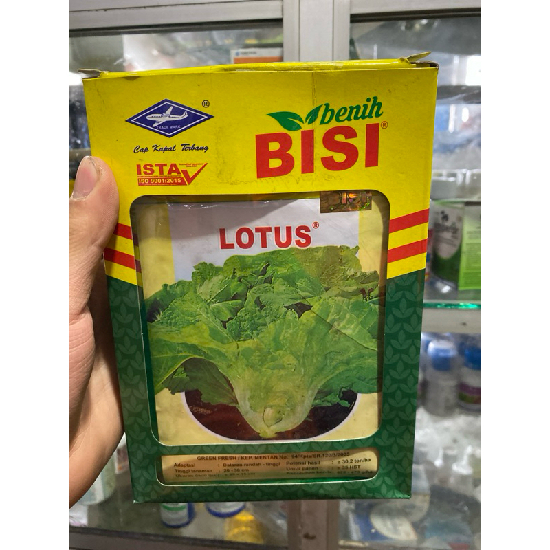 Benih sayur sawi pahit lotus 1 pack cap kapal terbang chia thai 50gr