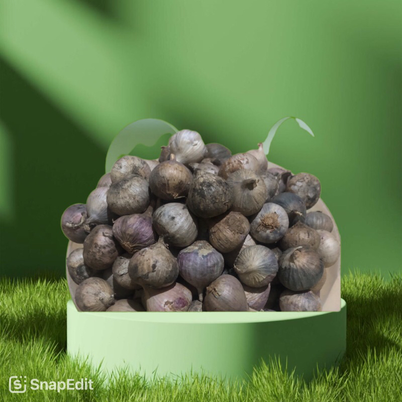 

Bawang Lanang Herba Kayathi