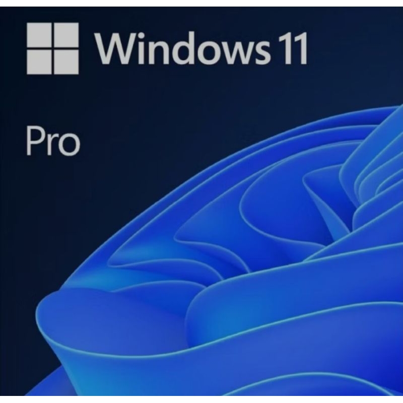 Windows 11 / 10 / 7 FPP / Professional / Home / Ultimate - Office Pro Plus 2021 / 2019 / 365 / 2016 