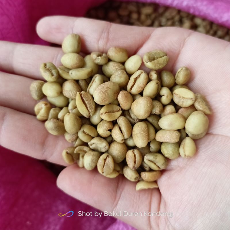 

kopi excelsa pilihan