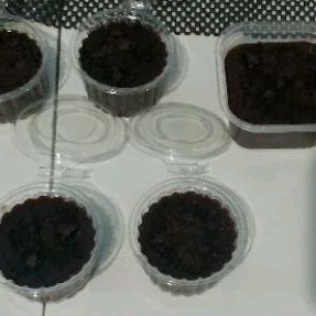 

puding coklat