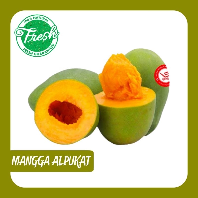 

MANGGA ALPUKAT