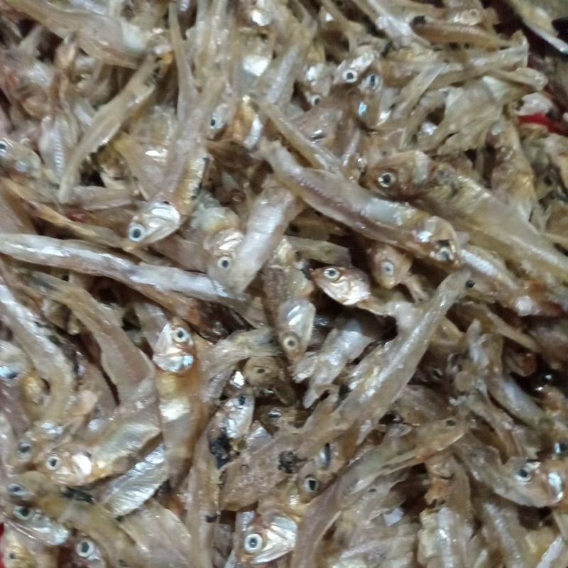 

Teri tanggung tawar