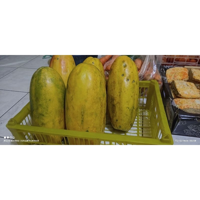

pepaya harga satuan