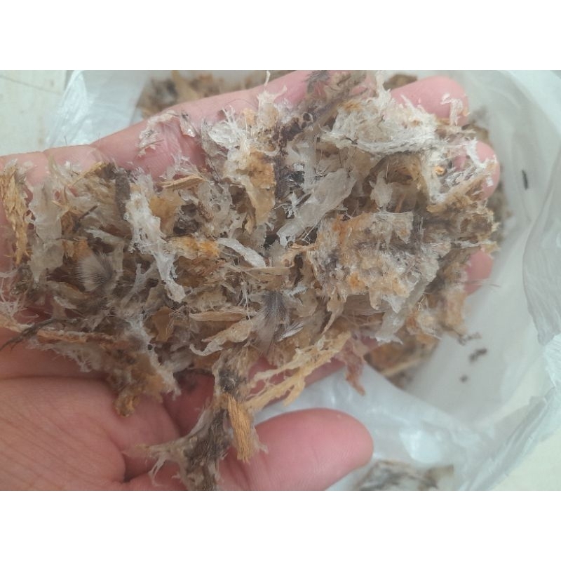 

sarang walet hancuran 100grm