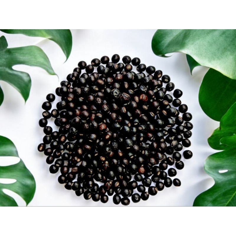 

Kacang Gude Hitam/Kacang Kayo Bali /Cajanus Cajen lokal super kering 500gr