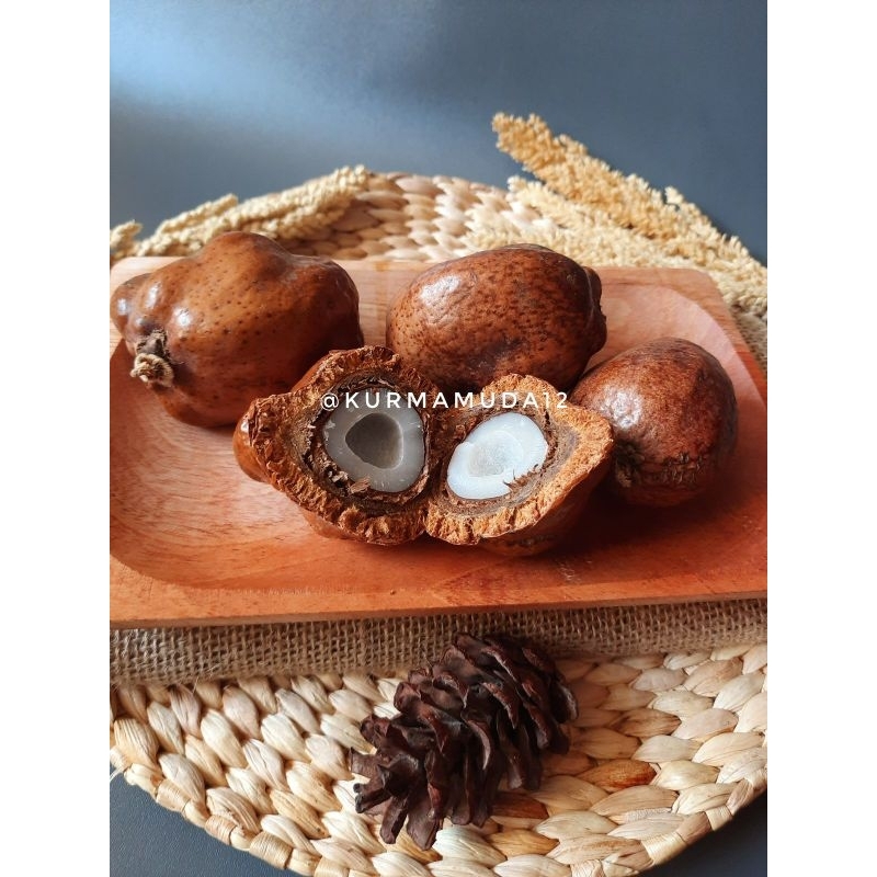 

BUAH ZURIAT UNTUK PROMIL! SUDAH DIBELAH