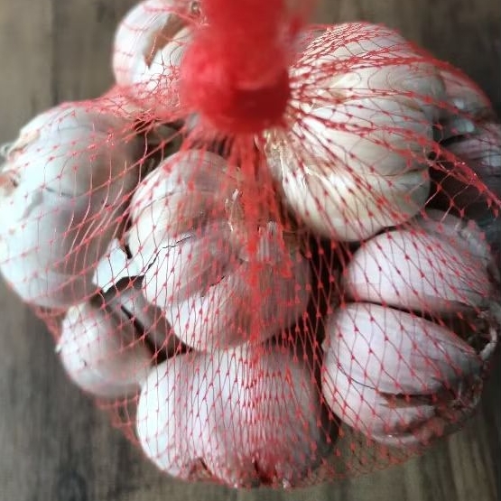 

Bawang Putih
