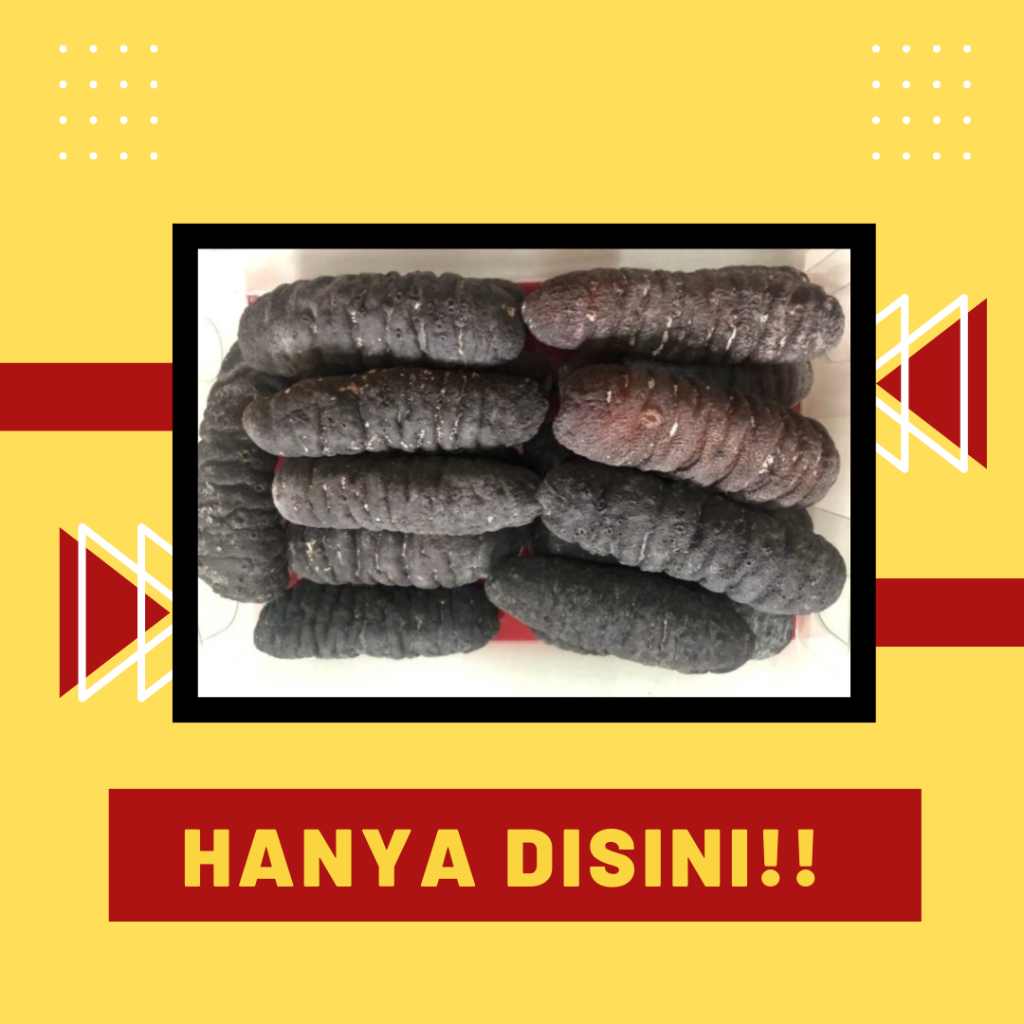 

Teripang Gosok Kering / Haisom Kering Belitung 500 gram