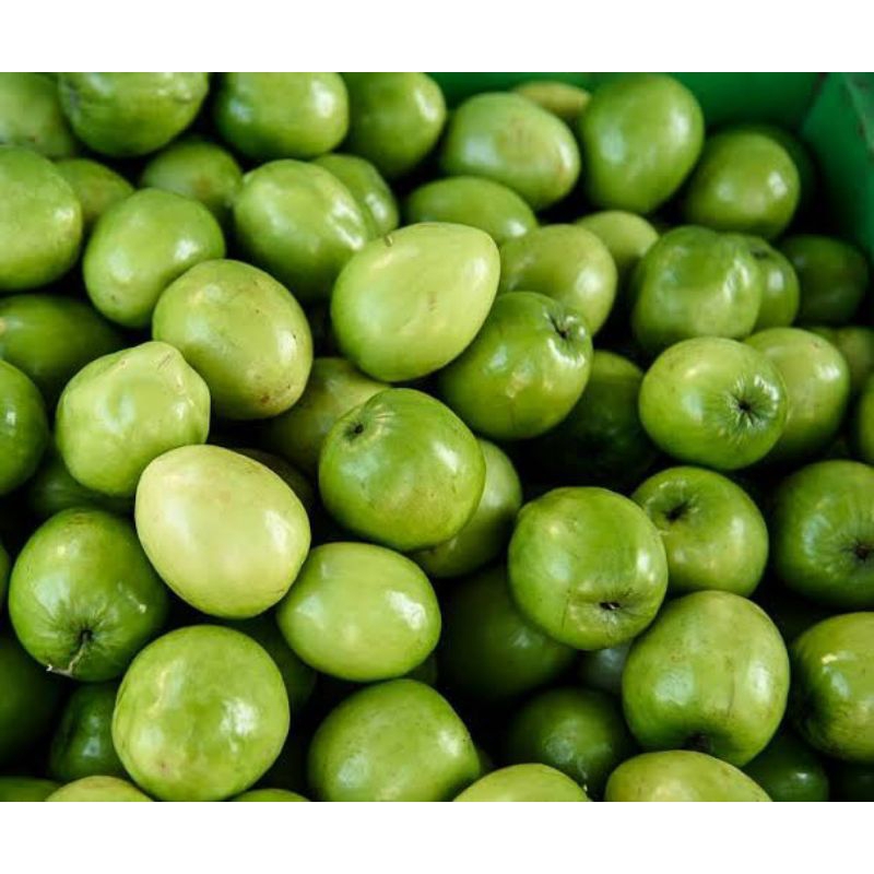 

BUAH BIDARA ASLI ( SIDR ) ISI 10 FRESH DIPETIK LANGSUNG DARI POHONNYA
