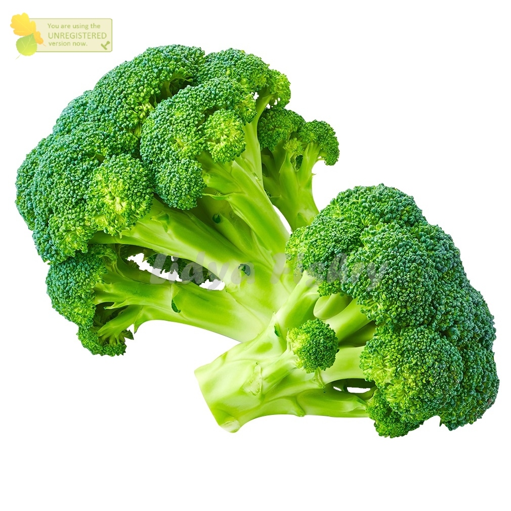 

Sayur Segar Brokoli 1Kg
