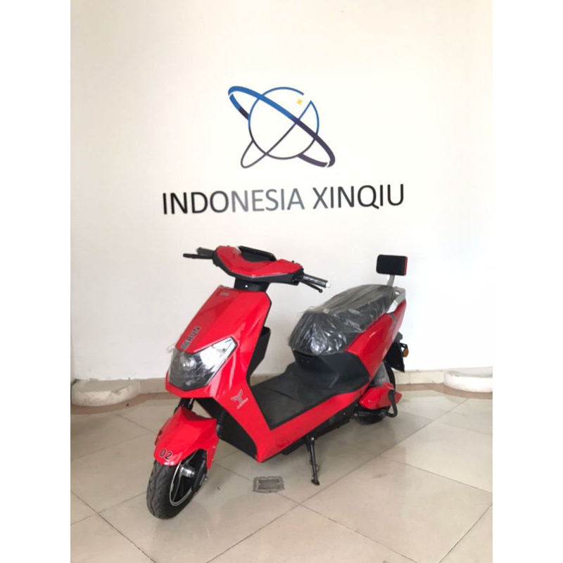 Sepeda Motor Listrik AOTUO Electric Bikes Roda Dua Type ROSA21