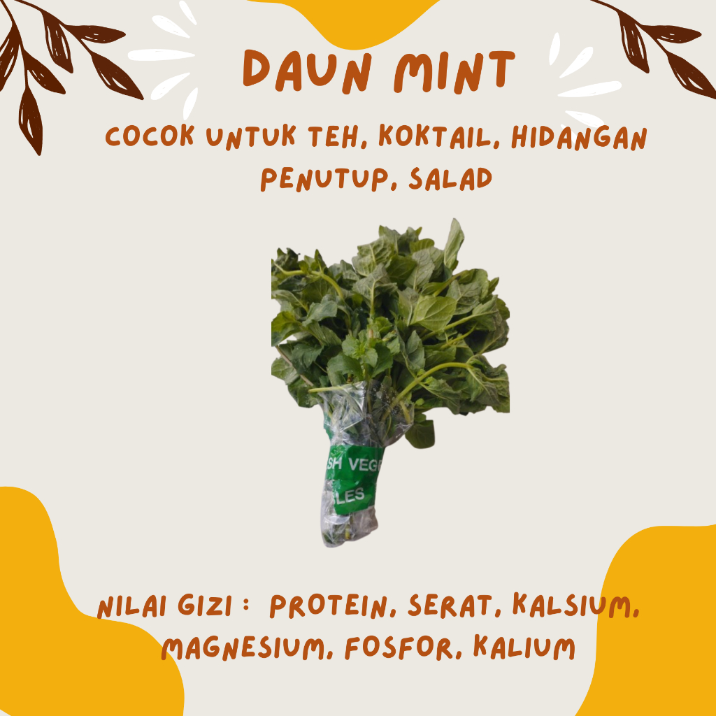 

DAUN MINT SEGAR / PEPPERMINT 50gr (HIDROPONIK)