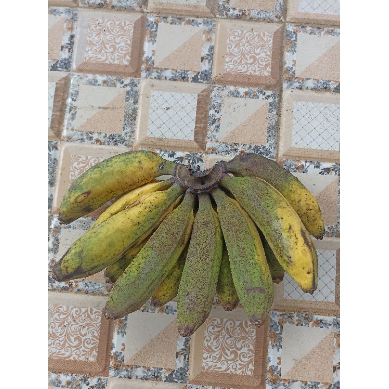 

pisang kepok 1 sisir