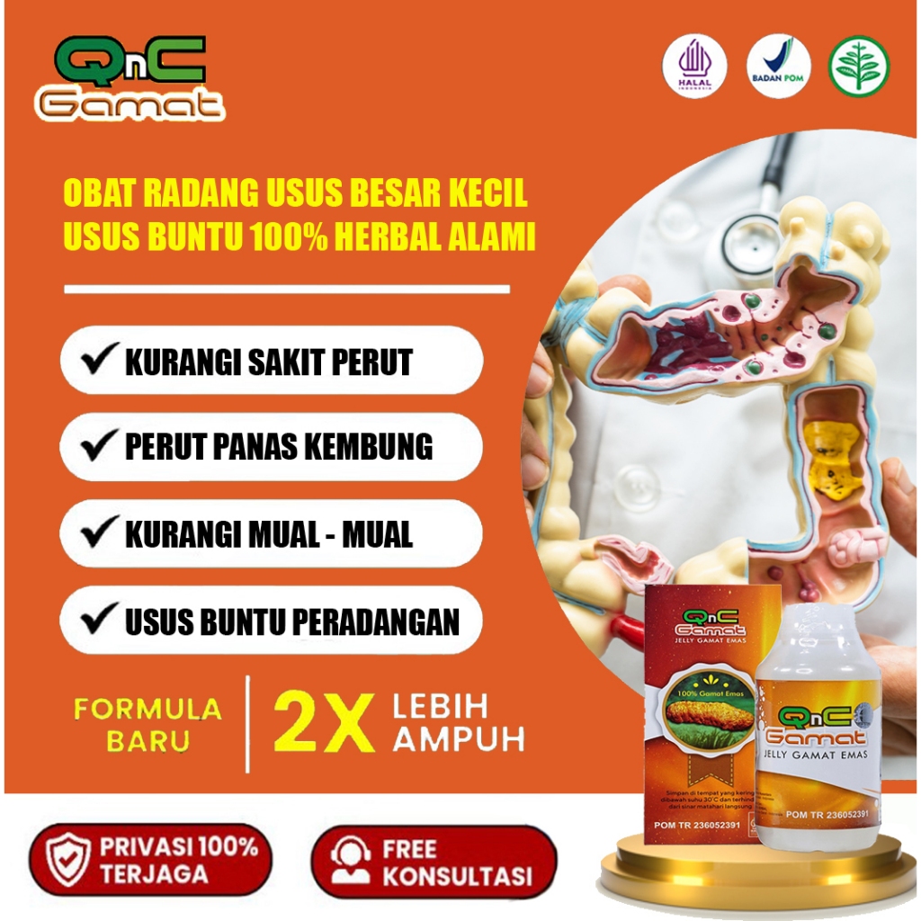 Obat Usus Buntu, Radang Usus Buntu, Obat Usus Buntu Tanpa Operasi | Herbal Qnc Jelly Gamat 300ml