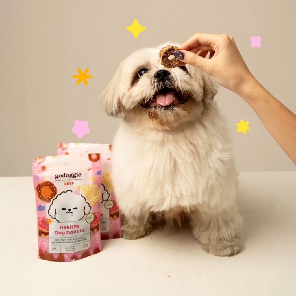 HEALTHY DONUTS / HEALTHY CEREAL - GODOGGIE / SNACK ANJING