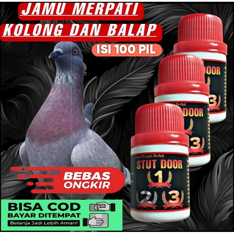 STUT DOOR jamu merpati kolong dan balap isi 100 butir/pil edan raja pukul terbang tinggi manuver rjb