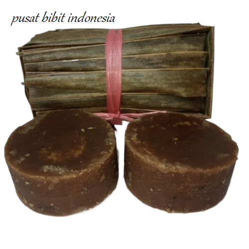 

1 kg Gula aren/kawung 100% kwalitas no 1