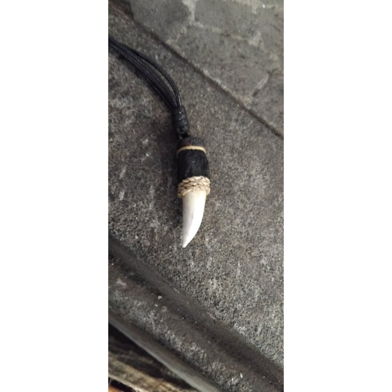 kalung etnic/Classic Taring Buaya
