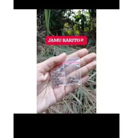 

Jamu Barito Berajah