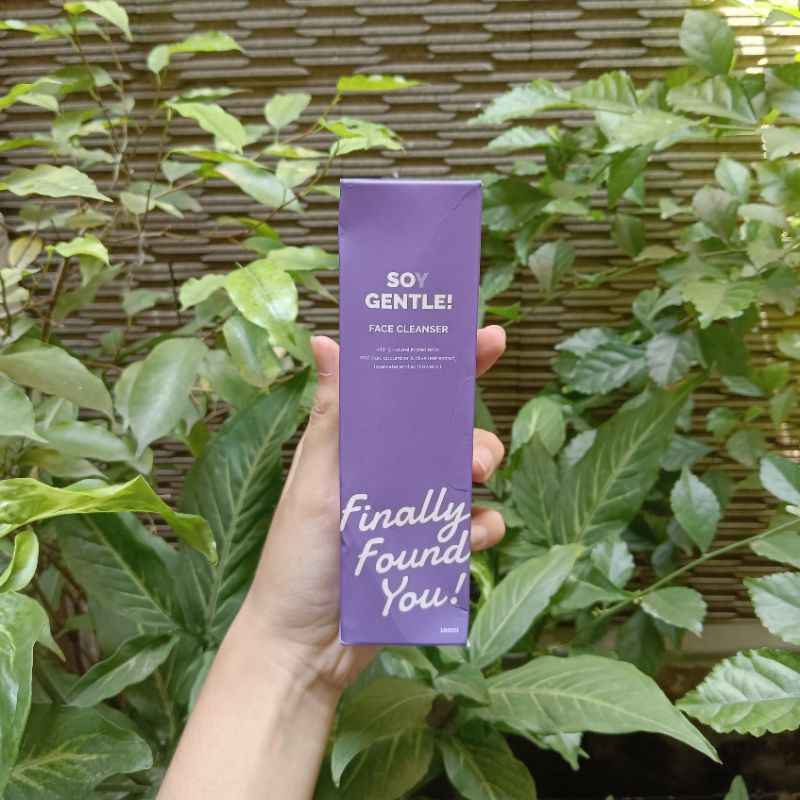 Finally Found You Soy Gentle Face Cleanser