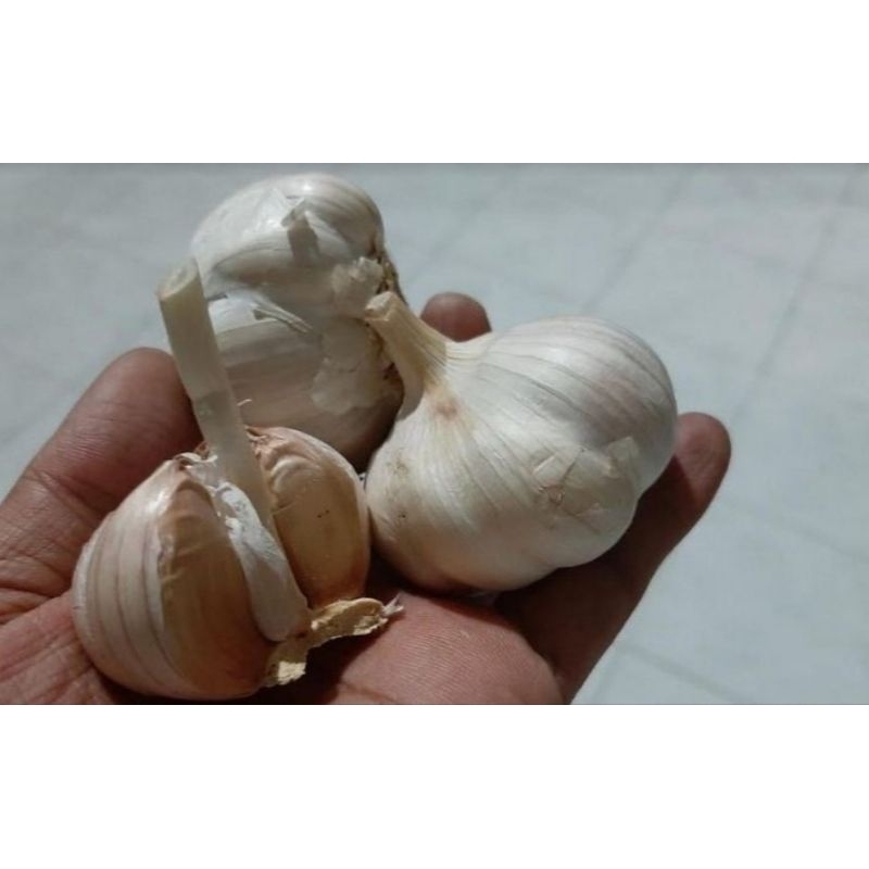 

Bawang Putih Premium 1kg Murah