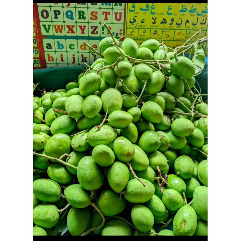 

manggah muda nyakruk