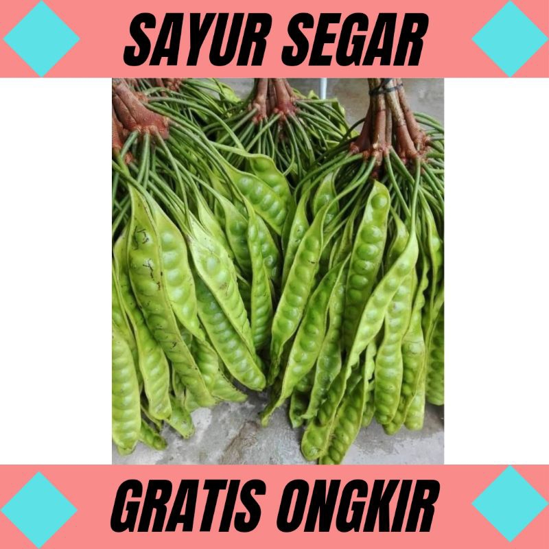 

Petai Segar Super Per Lonjor/Papan