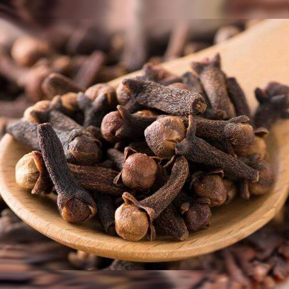 

Cengkeh Kering Fresh Grade A 100gr - Rempah Berkualitas Tinggi