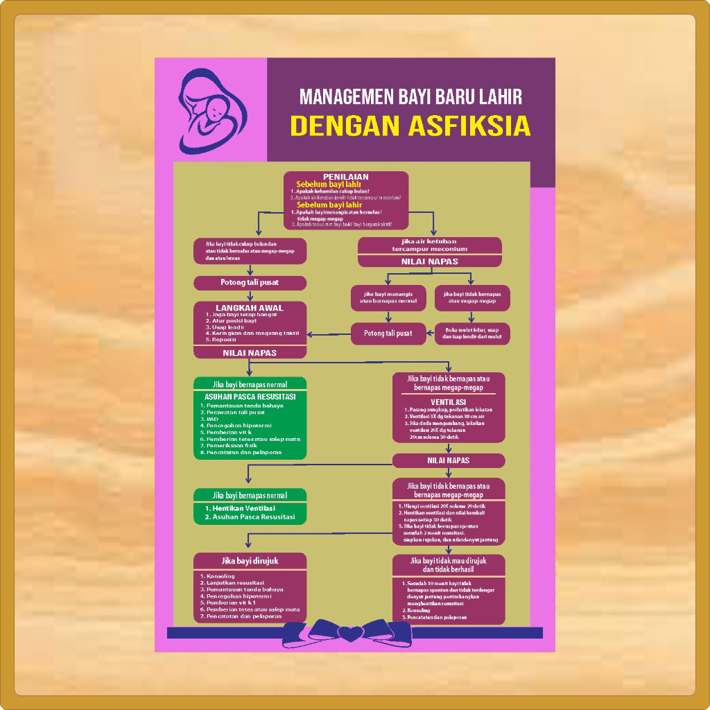 Stiker Poster Manajemen Bayi Baru Lahir dengan Asfiksia, Stiker Poster Kebidanan, Stiker Poster Kese
