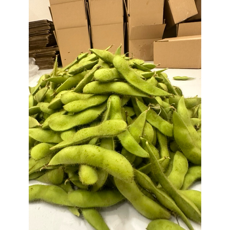 

edamame super 1kg petani banyuwangi
