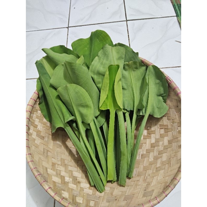 

daun genjer segar 250 grm