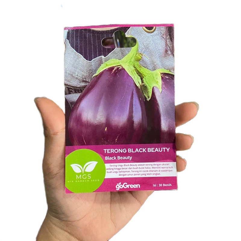 Benih Terong Murah/Benih Terong Black Beauty/Terong Ungu Benih Murah