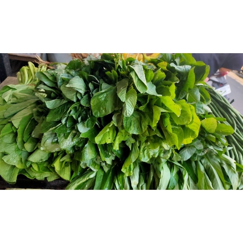 INSTAN bayam potong bayam air bayam akar spinach