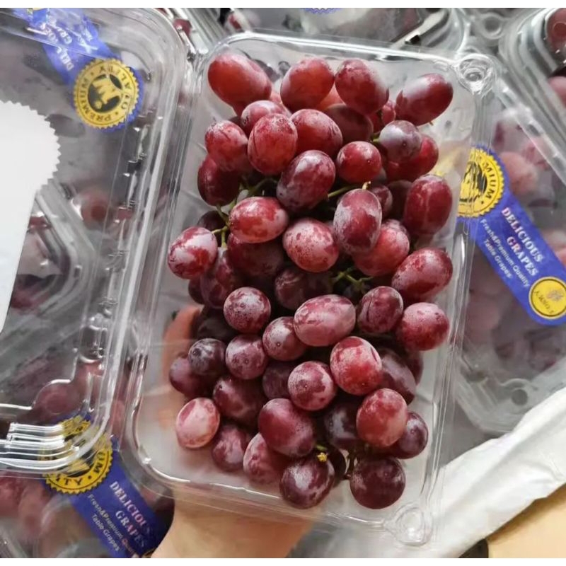 

Anggur Crimson 1 Pack