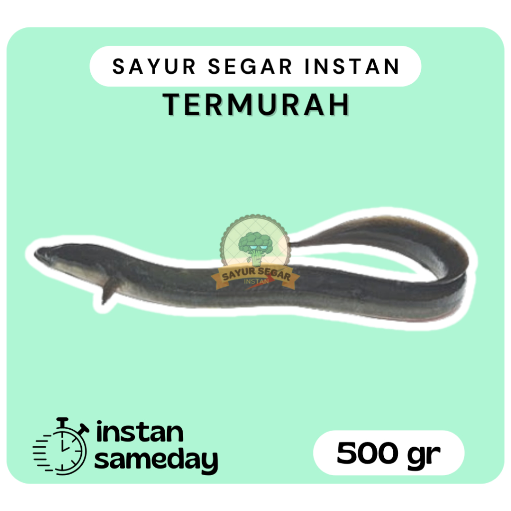 

Belut Segar 500gram - Sayursegarinstan