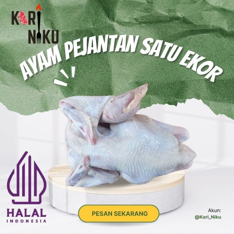 

Ayam Pejantan Satu Ekor