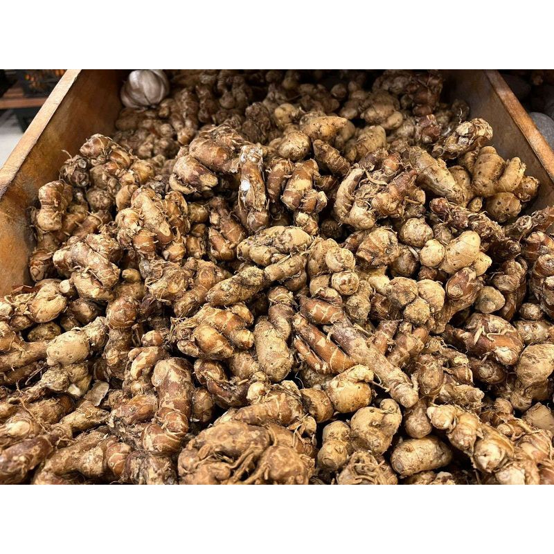 

Kencur 1 kilogram segar