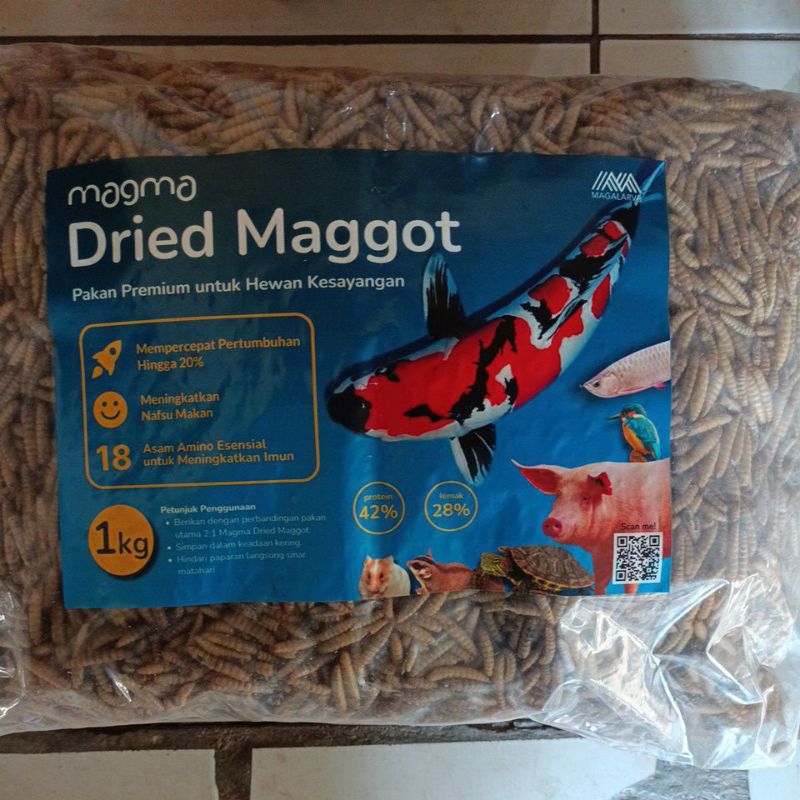 Magot kering 1 kg dried maggot grade A