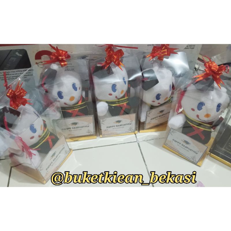 boneka wisuda mika / souvernir wisuda/ hadiah kelulusan/ mika wisuda/ boneka wisuda/ wisuda TK / Had