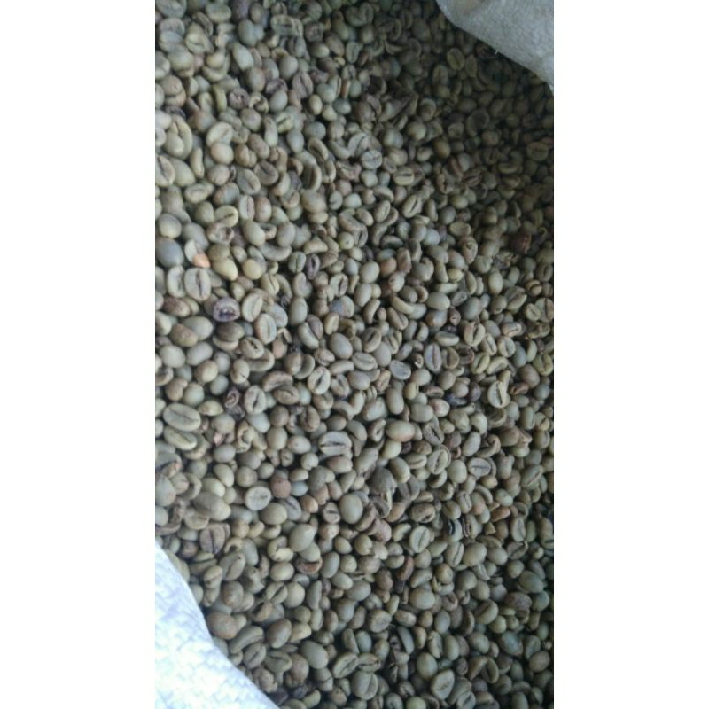 

STEVIA (Green Bean Robusta KAGURA COFFEE PETIK MERAH 1kg)
