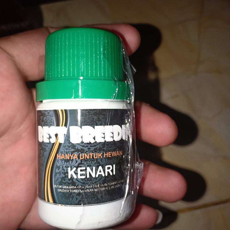 best breeding spesial hanya untuk kenari