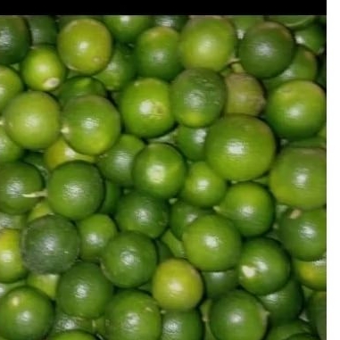 

jeruk kasturi /jeruk lemoncuy/jeruk sonkit
