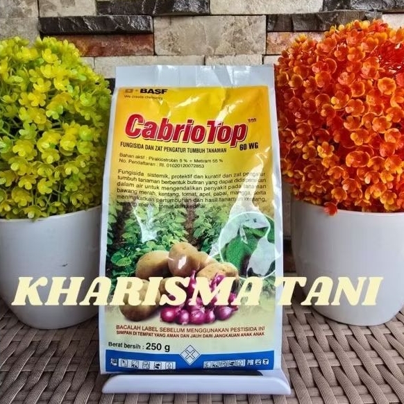 fungisida CabrioTop 60WG 250gr