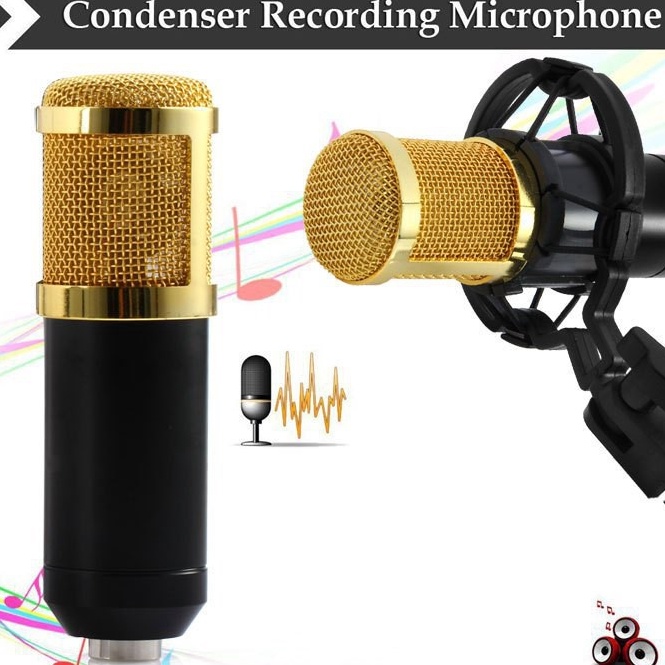 Update Terbaik Professional Condenser Studio Microphone  BM8