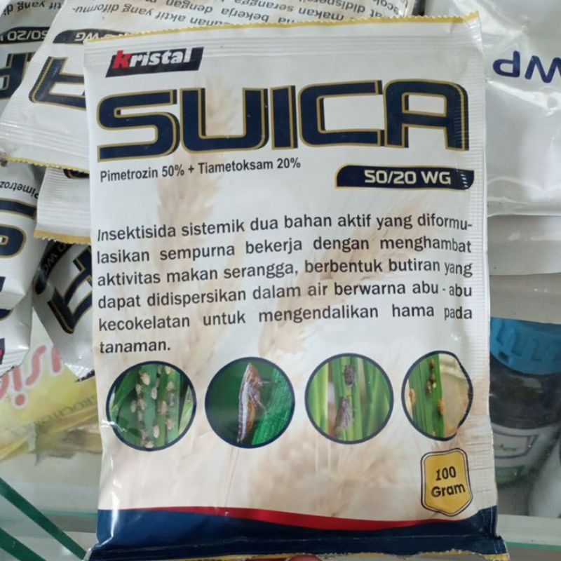 Insektisida sistemik dengan 2 bahan aktif Pimetrozin 50% dan Tiametoksam 20% SUICA 100gr