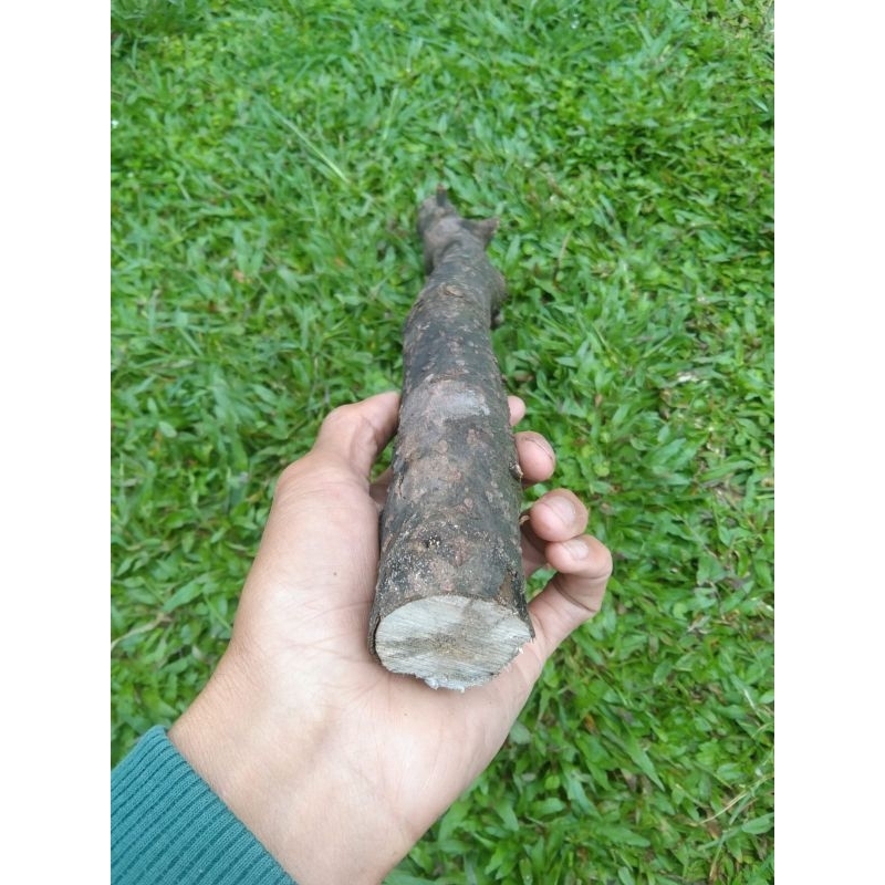 Stik kayu lemo anti ular 40 cm